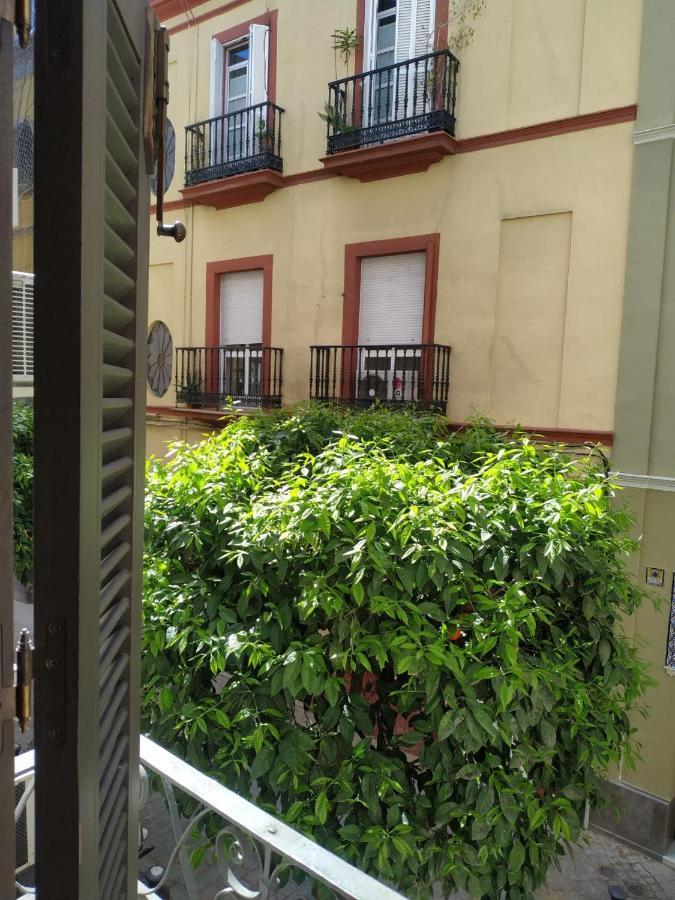 Apartamento El Arenal De 1 Appartement *